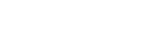 DOLPHINBRAIN
